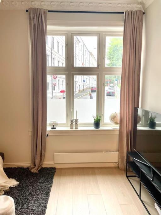 Modern And Cozy Studio Apartment In Central 奥斯陆 外观 照片