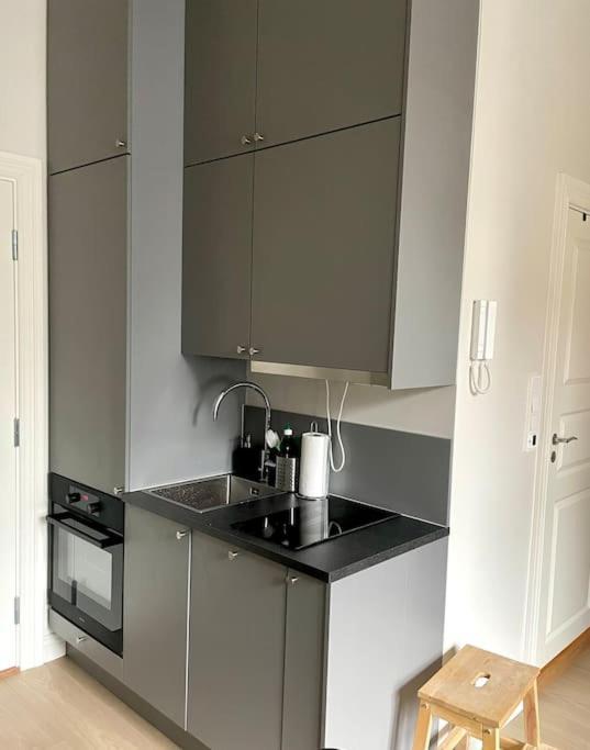 Modern And Cozy Studio Apartment In Central 奥斯陆 外观 照片